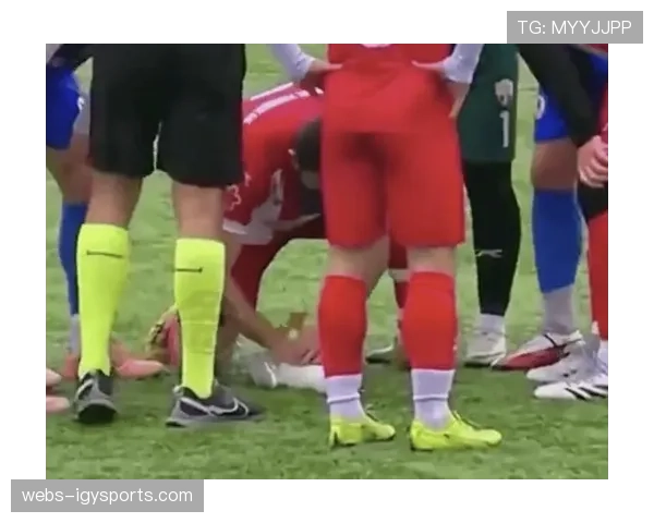 暖心一幕：双方球员暂停比赛，帮助受伤的小鸟离开球场